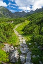 Stone trail path between green plants in Tatra Mountains n summer. On the background mountain peaks and blue cloudy sky Royalty Free Stock Photo