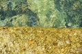 Golden trasparent water stones grass, decaying valleys, natural background Royalty Free Stock Photo