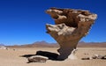 Stone tree or arbol de piedra in the desert of Bolivia Royalty Free Stock Photo