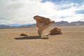 Stone tree rock formation in the desert