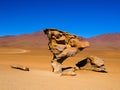 Stone tree rock formation Royalty Free Stock Photo