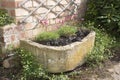 Stone trough container with pink armeria alpine plants and black