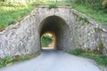 Stone Tunnel Royalty Free Stock Photo