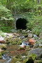 Stone Tunnel in the Woods 3 (vertical) Royalty Free Stock Photo