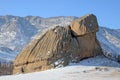 Stone Turtle in Terelj Park, Mongolia Royalty Free Stock Photo