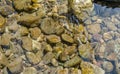 Stone under crystal clear water of Ganga River