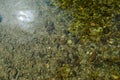 Stone under crystal clear water of Ganga River