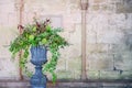 Stone vase planter with fustian green flowers and cascading green ivy and leaves. Grey cobble stones. Gorgeous design in front of