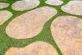 The Stone walk path in the park with green grass