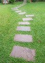 Stone walk way between grass Royalty Free Stock Photo