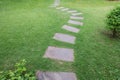 Stone walk way between grass Royalty Free Stock Photo