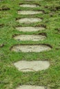Stone walkaway in grass