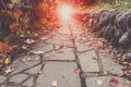 A Stone walking path, red leaves scattering on it. Leading into Royalty Free Stock Photo