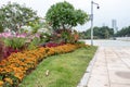 Stone walkway in the city park. Square with flowers. Green bushes of trees. Royalty Free Stock Photo