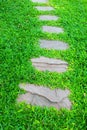 Stone walkway in garden Royalty Free Stock Photo