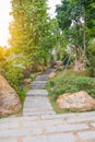 Stone walkway in the garden.