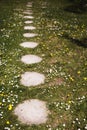 Stone walkway. Garden path walkway on green grass turf