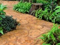 Stone walkway in garden Royalty Free Stock Photo