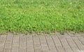 Stone walkway on the greensward wet in the raining day, the path and the lawn are wet after the rain, green grass on the