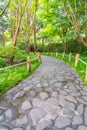 Stone walkway in Japanese Tea Garden, San Francisco Royalty Free Stock Photo