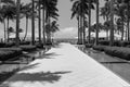 Stone Walkway, Landscaped Ponds, and Palm Trees at Key West\'s Beachfront Retreat in Black and White