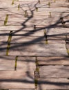 A stone walkway with shadows from a tree across it Royalty Free Stock Photo