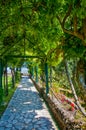 Stone Walkway Under Grape Arbor Royalty Free Stock Photo