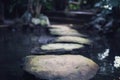 Stone walkway in water in garden. Japanese style shady garden decoration idea