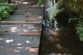 Stone walkway in water in garden. Japanese style shady garden decoration idea