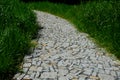 Stone walkways through a nature park made of irregular pieces. There are scabs on the pavement and around there are logs on which