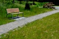 Stone walkways through a nature park made of irregular pieces. There are scabs on the pavement and around there are logs on which