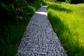 Stone walkways through a nature park made of irregular pieces. There are scabs on the pavement and around there are logs on which