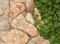 Stone wall Royalty Free Stock Photo