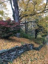 Stone wall in autumn Royalty Free Stock Photo