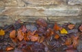 A stone wall with autumn leaves Royalty Free Stock Photo