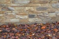 A stone wall with autumn leaves Royalty Free Stock Photo