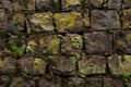 Stone wall background with Green plant, moss and lichen Royalty Free Stock Photo