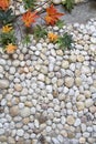 Stone wall and colorful of leaf Royalty Free Stock Photo