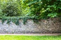 Stone wall covered with greenery. Green thickets behind the wall. The path along the wall among the abundant greenery