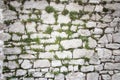 Stone wall covered moss and plants texture background Royalty Free Stock Photo