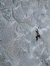 Stone wall covered with snow and ice Royalty Free Stock Photo