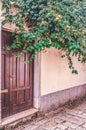 A stone wall decorated with green campsite and ivy is a brown door. Vertical greening of cities