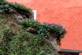 The stone wall is decorated with live plants against the background of a red house Royalty Free Stock Photo