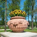 Stone wall decorated with violets filled earthenware pots