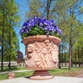 Stone wall decorated with violets filled earthenware pots