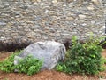 Stone wall, decorative gray boulder and ornamental green plants.
