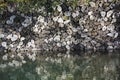 Stone wall with different sized stones