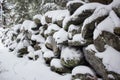 Stone Wall in Forest Covered in Snow Royalty Free Stock Photo