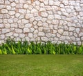 Stone wall and fox-tail with Green field Royalty Free Stock Photo