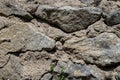 stone wall in the garden Royalty Free Stock Photo